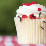 ants crawling on a cupcake