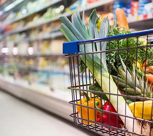 Grocery cart with items in the basket - Keep pests away from your property with Insect IQ in Modesto CA