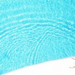 wasps around a Modesto swimming pool